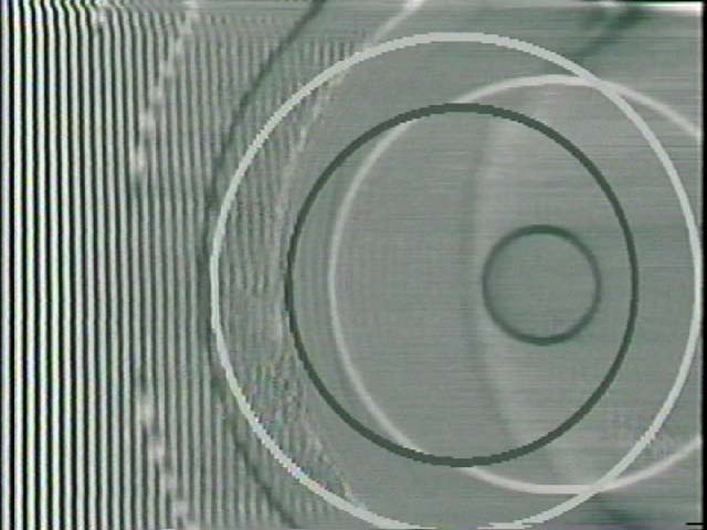 Interpol_85