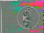Interpol_87