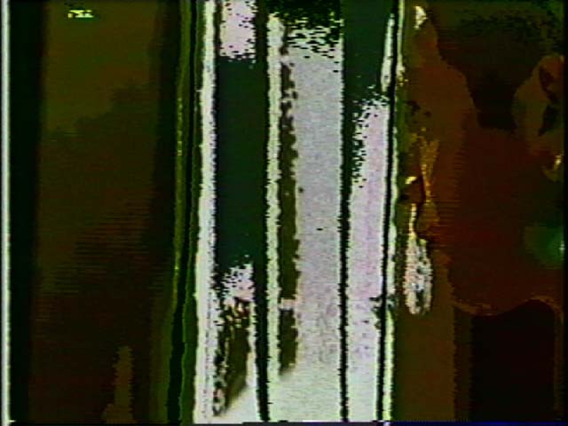 Interpol_18