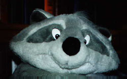 meeko3